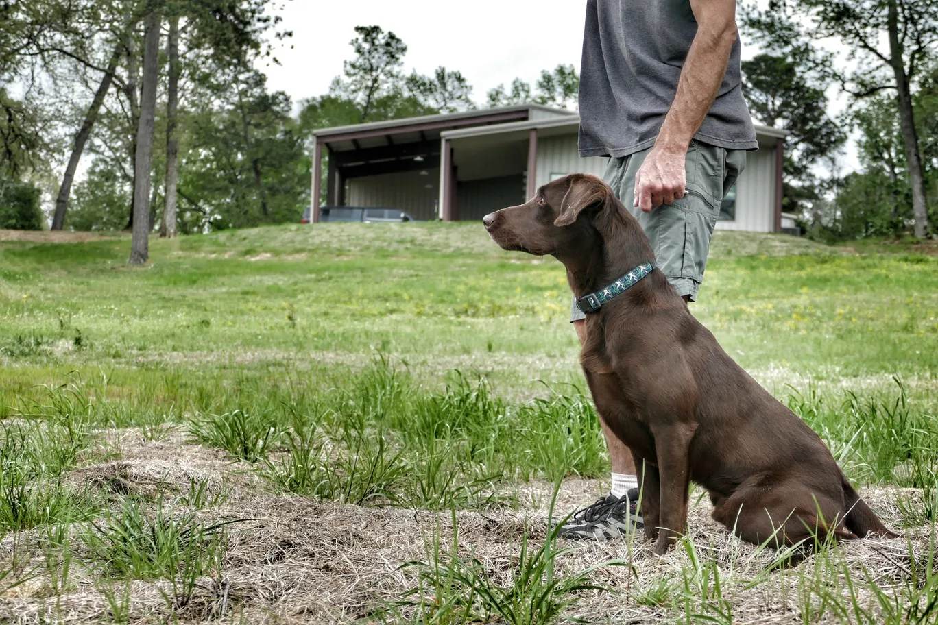One Shot Retrievers in Frankston, TX (5)