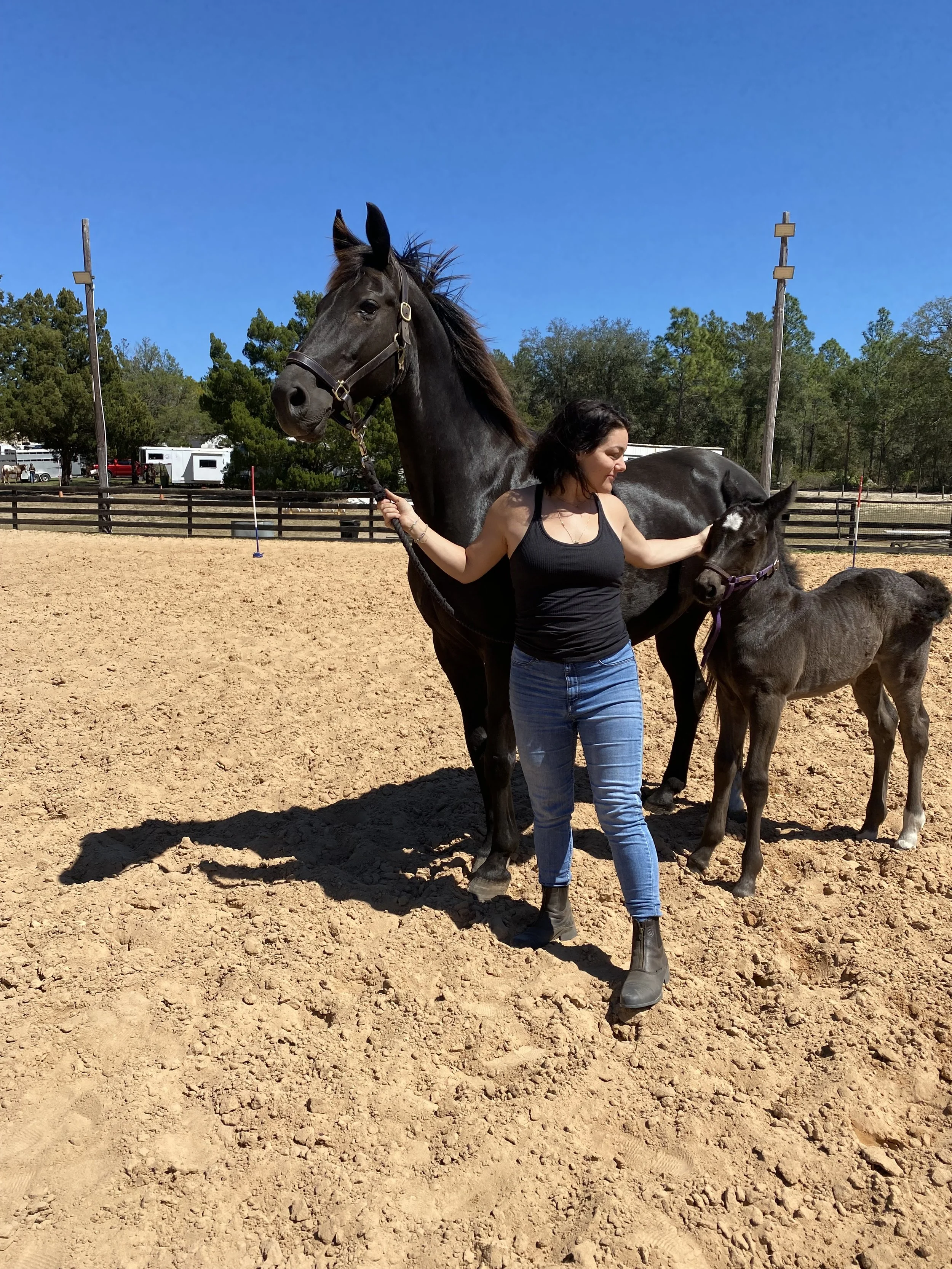 Black Horse Resort Ranch in Umatilla, FL