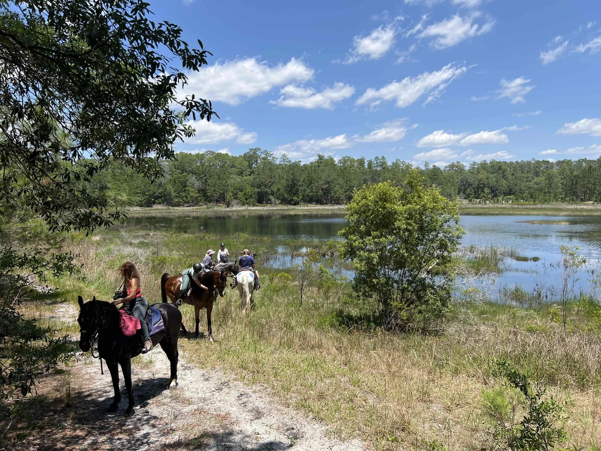 Black Horse Resort Ranch in Umatilla, FL (4)