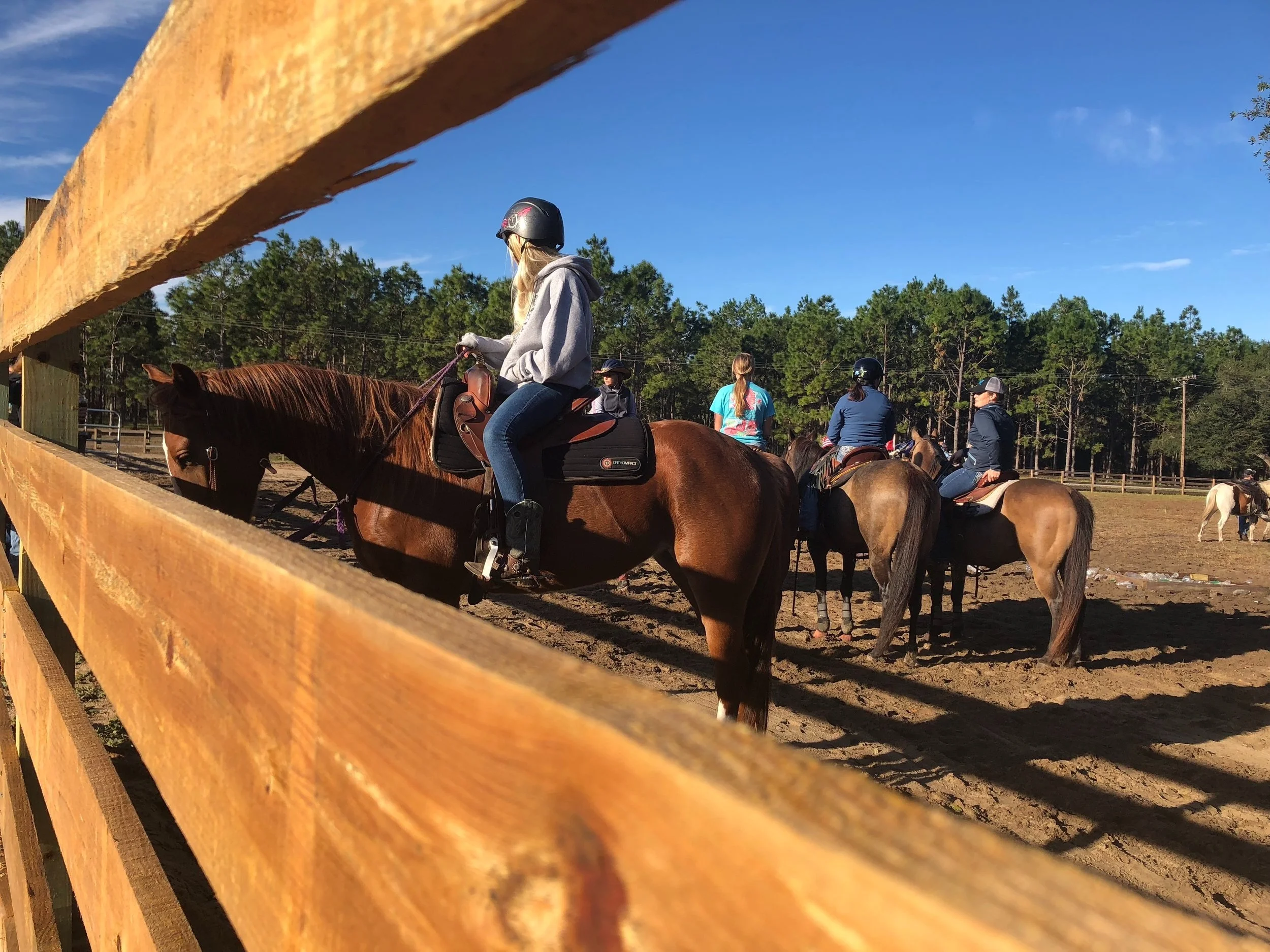 Black Horse Resort Ranch in Umatilla, FL (5)