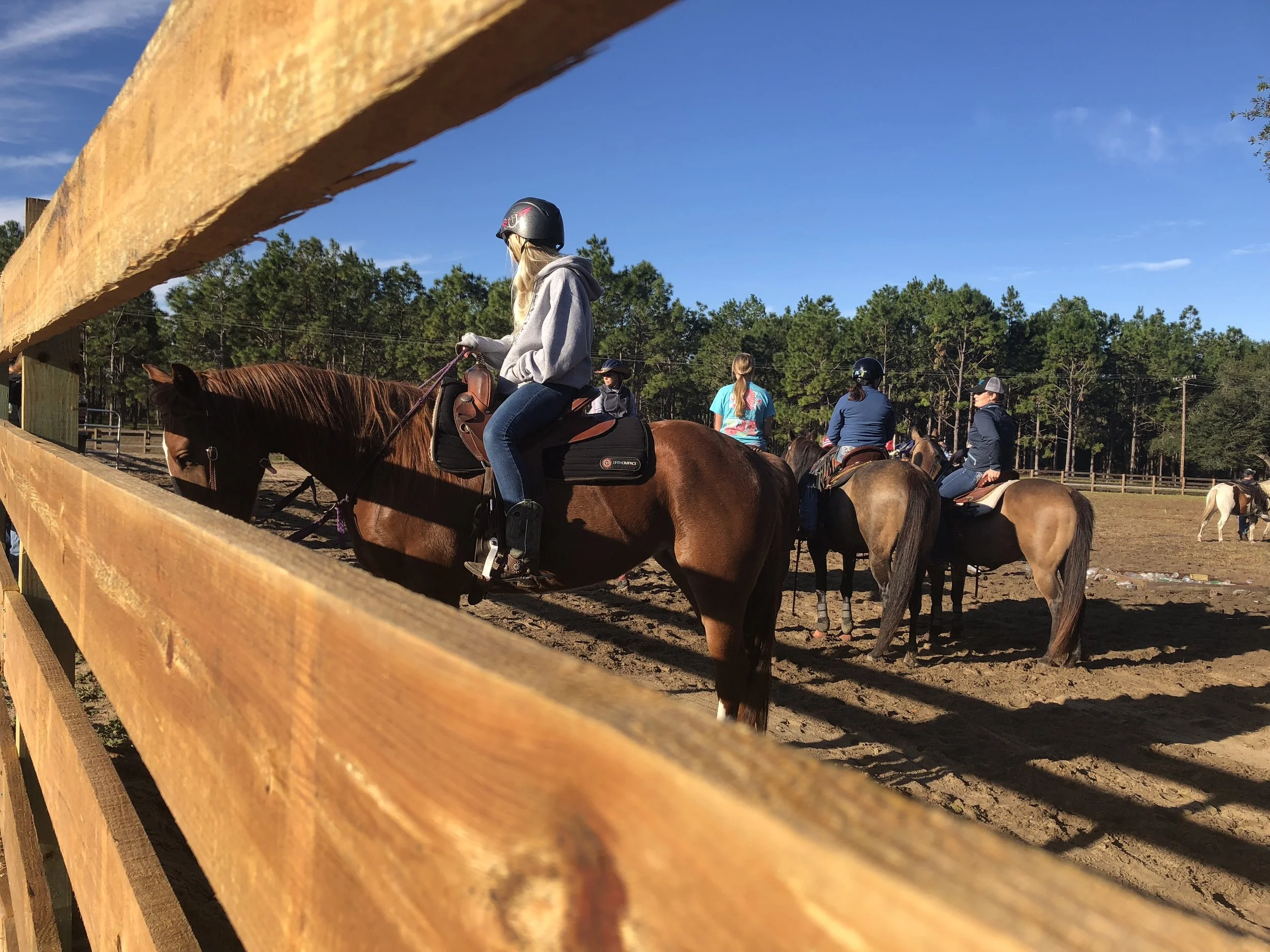 Black Horse Resort Ranch in Umatilla, FL (6)