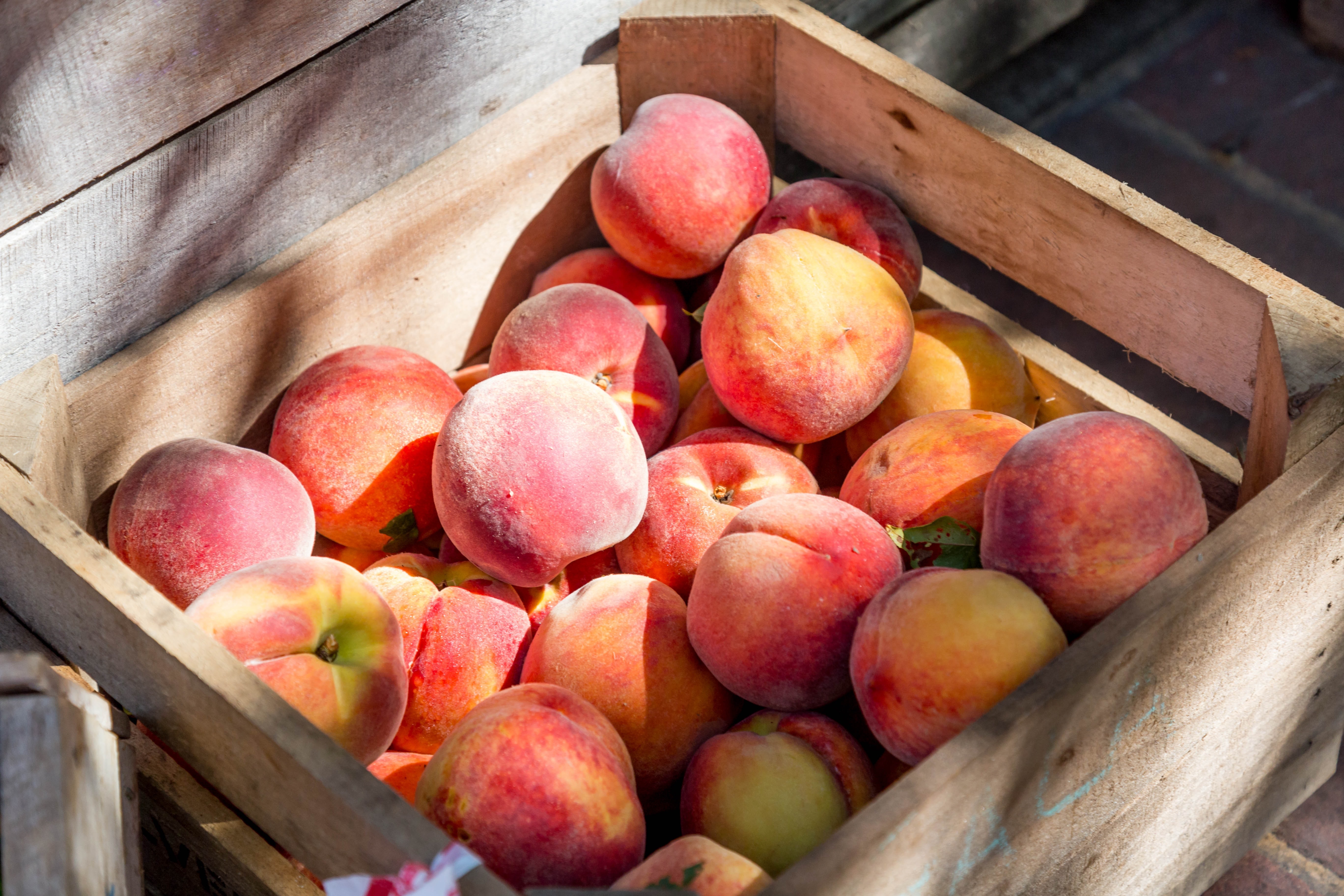 Resendiz Family Fruit Barn in Hughson, CA (3)