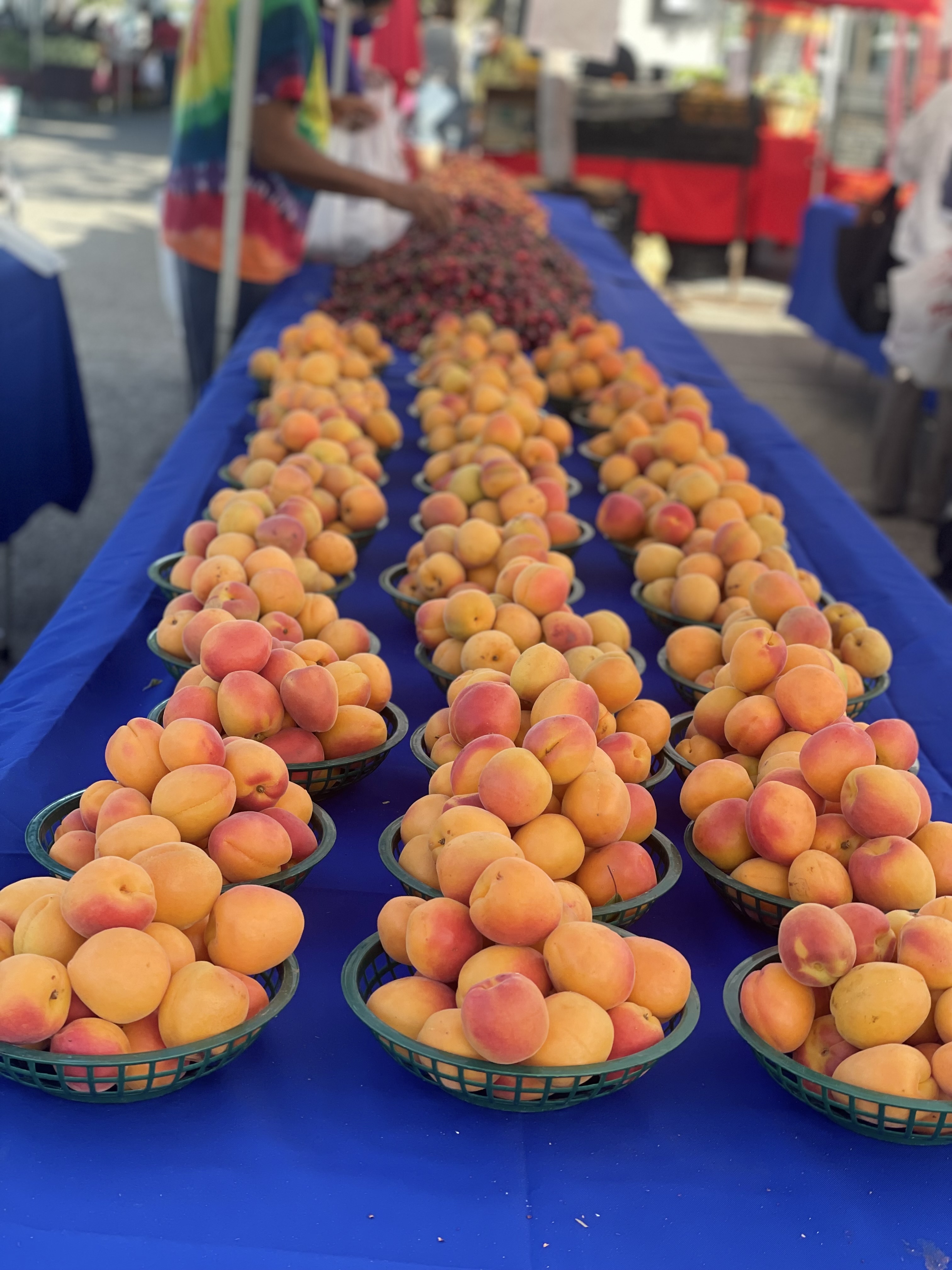 Resendiz Family Fruit Barn in Hughson, CA (4)
