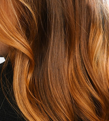 Blackbird Salon in Washington, DC (3)