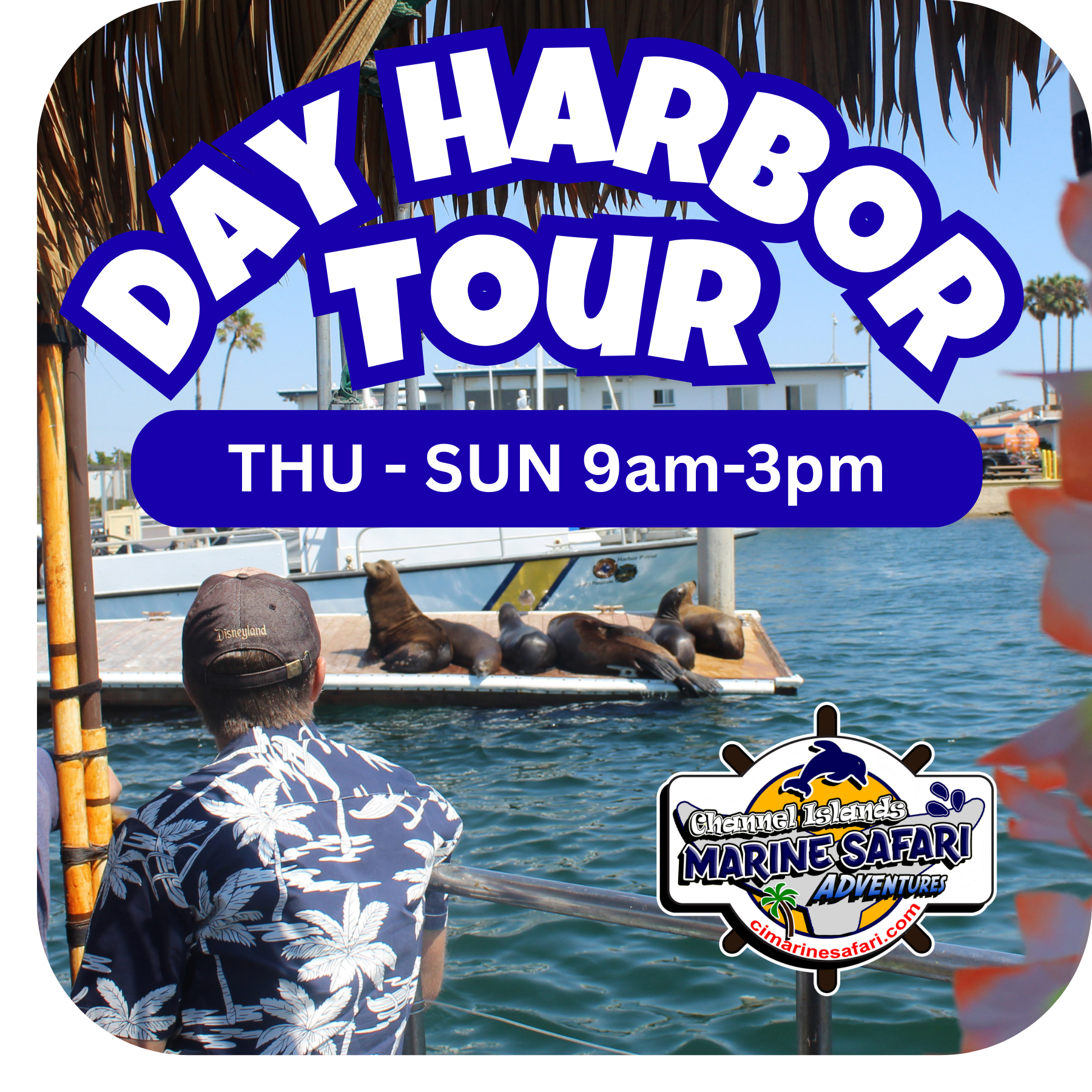 Channel Islands Marine Safari Adventures in Oxnard, CA