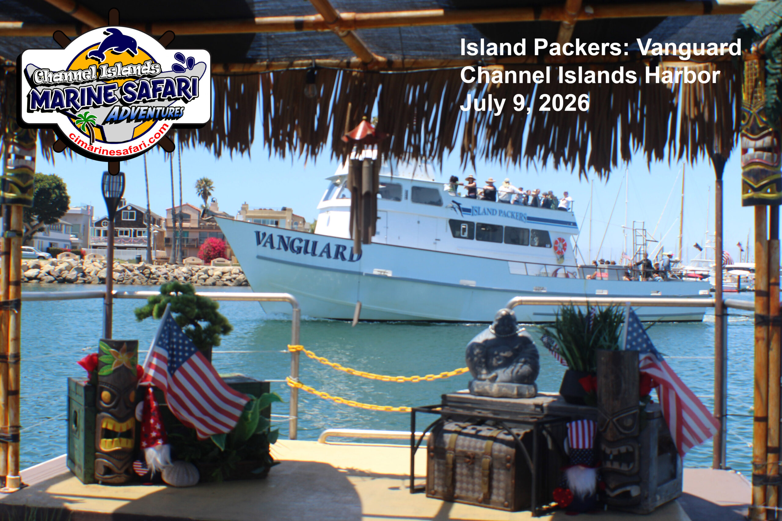 Channel Islands Marine Safari Adventures in Oxnard, CA (4)