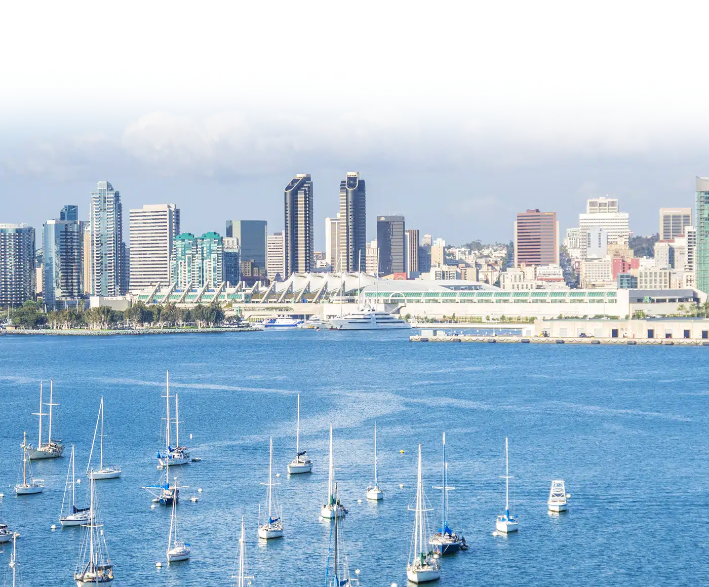 McKenzie Scott Civil Rights in San Diego, CA (2)