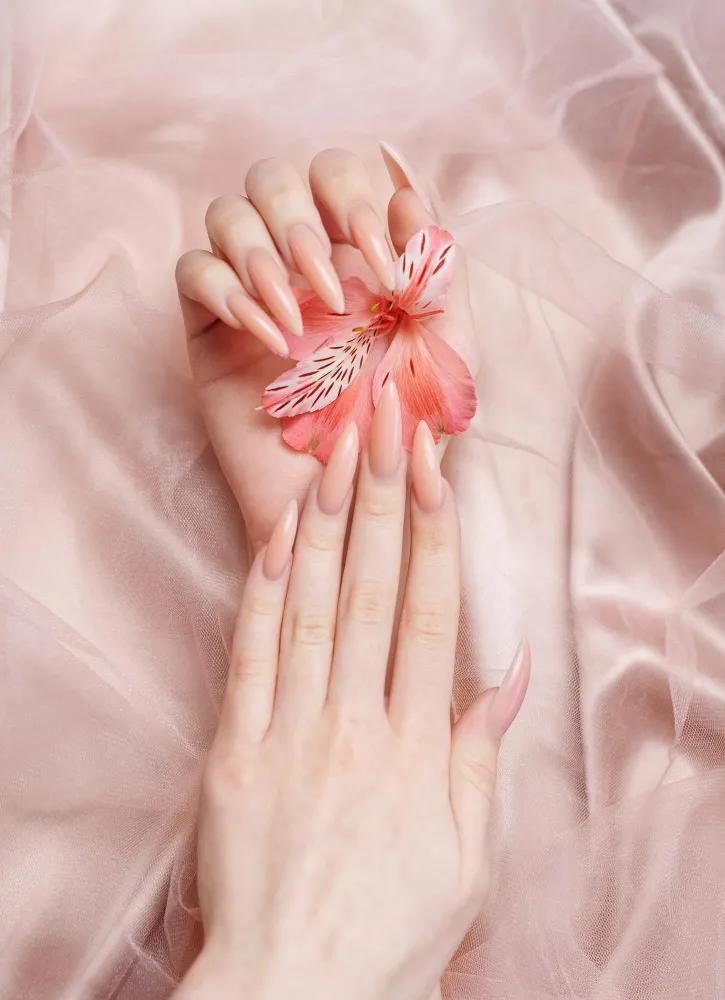Casselberry Nails and Spa in Casselberry, FL (4)