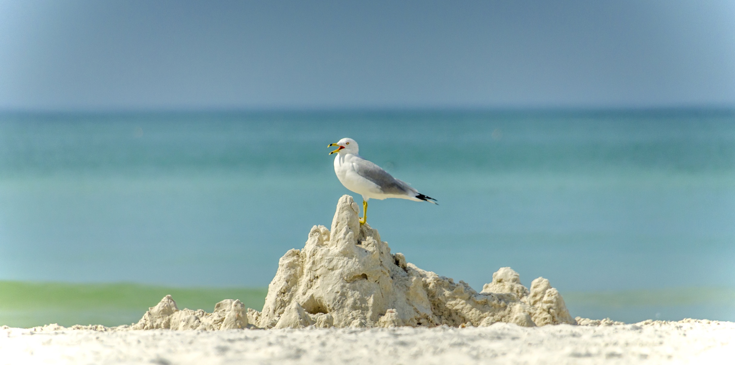 Belle Isle Realty, LLC in Belleair Beach, FL (5)