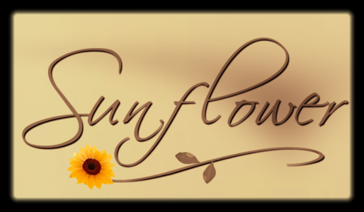 Sunflower Hair Studio in North Miami Beach, FL (5)