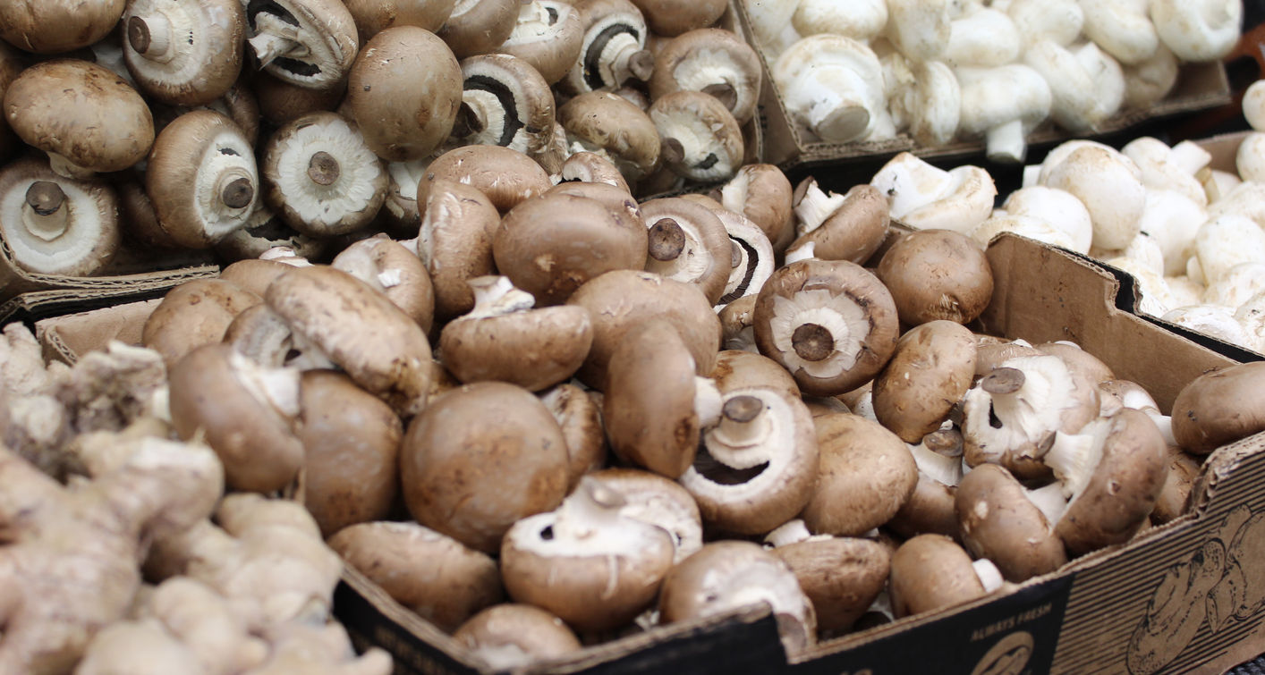 Wild Rivers Market in Crescent City, CA (2)