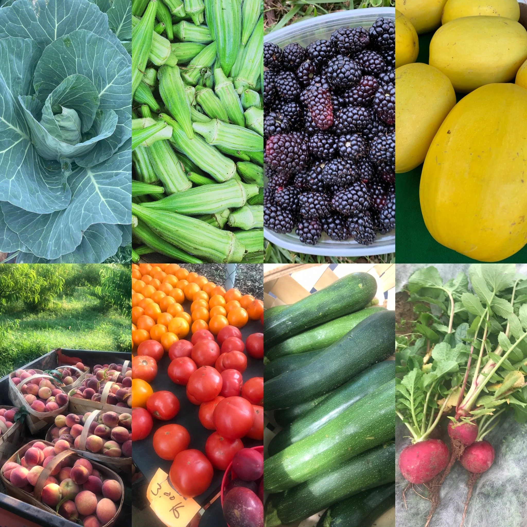 Jackson Farms II in Lyman, SC (3)