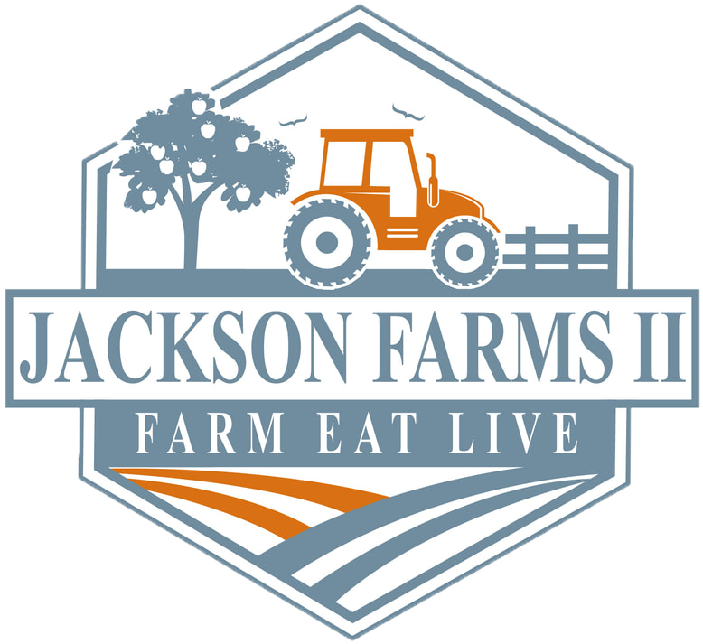 Jackson Farms II in Lyman, SC (6)