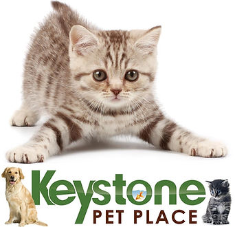 Keystone Pet Place Mount Joy in Mount Joy, PA (5)