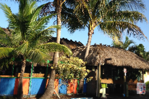 Old Key Lime House in Lantana, FL (4)