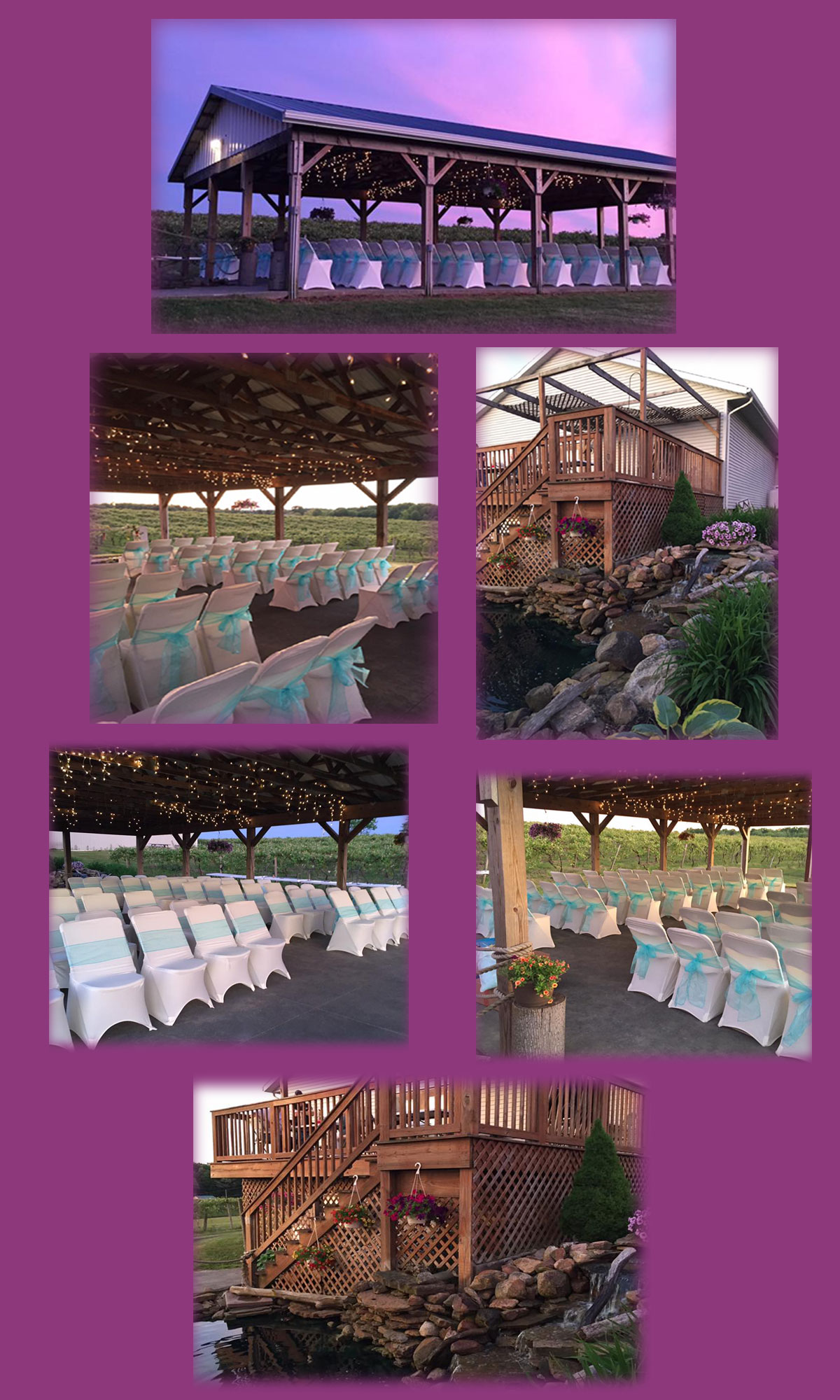 Virant Family Winery Inc in Geneva, OH (2)