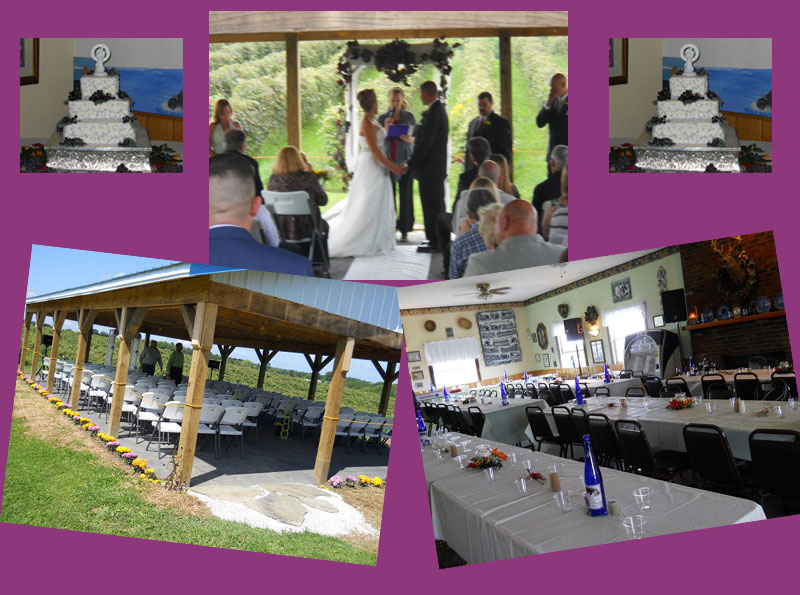 Virant Family Winery Inc in Geneva, OH (4)