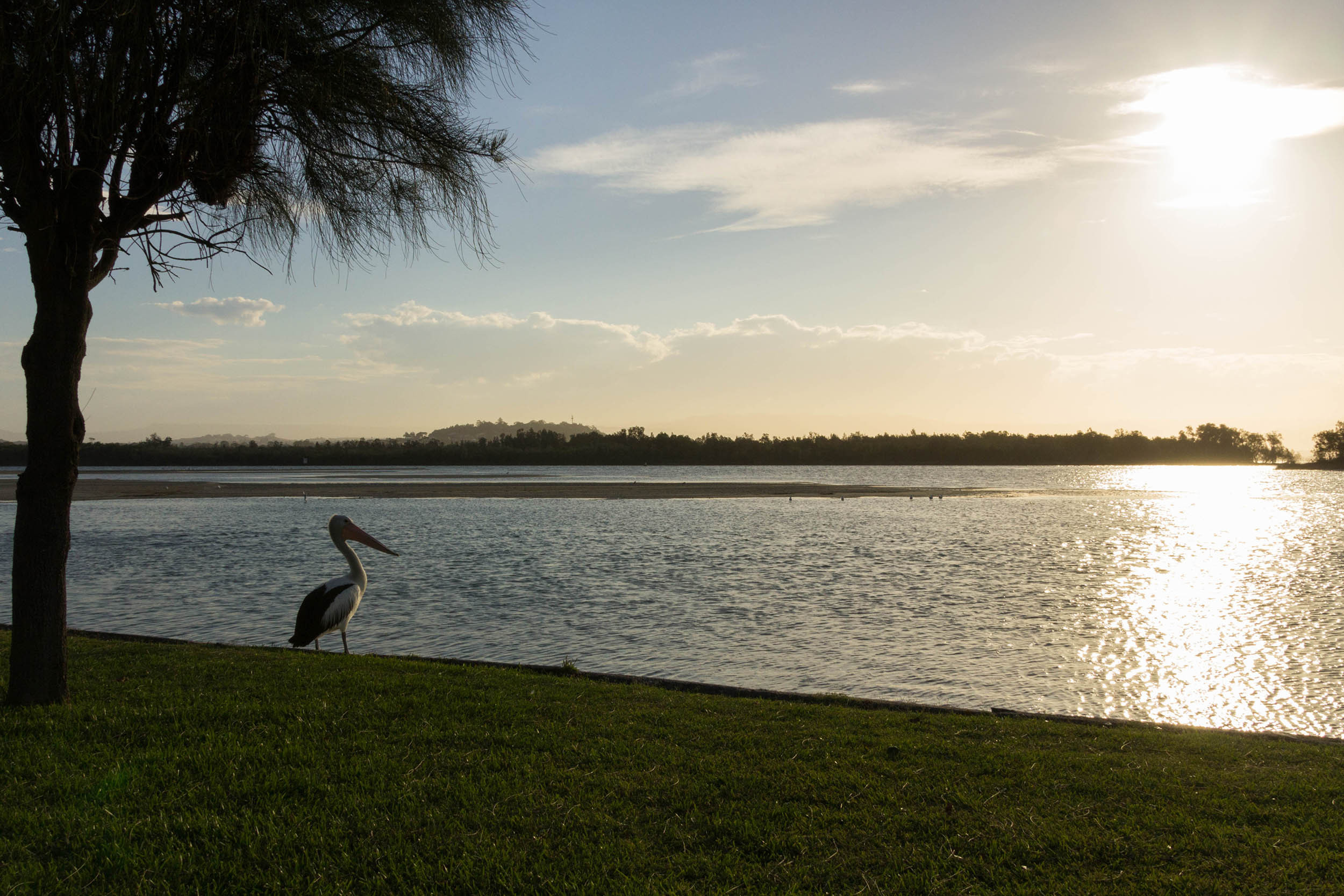 Five Star Accounting And Tax Solutions in West Palm Beach, FL (2)
