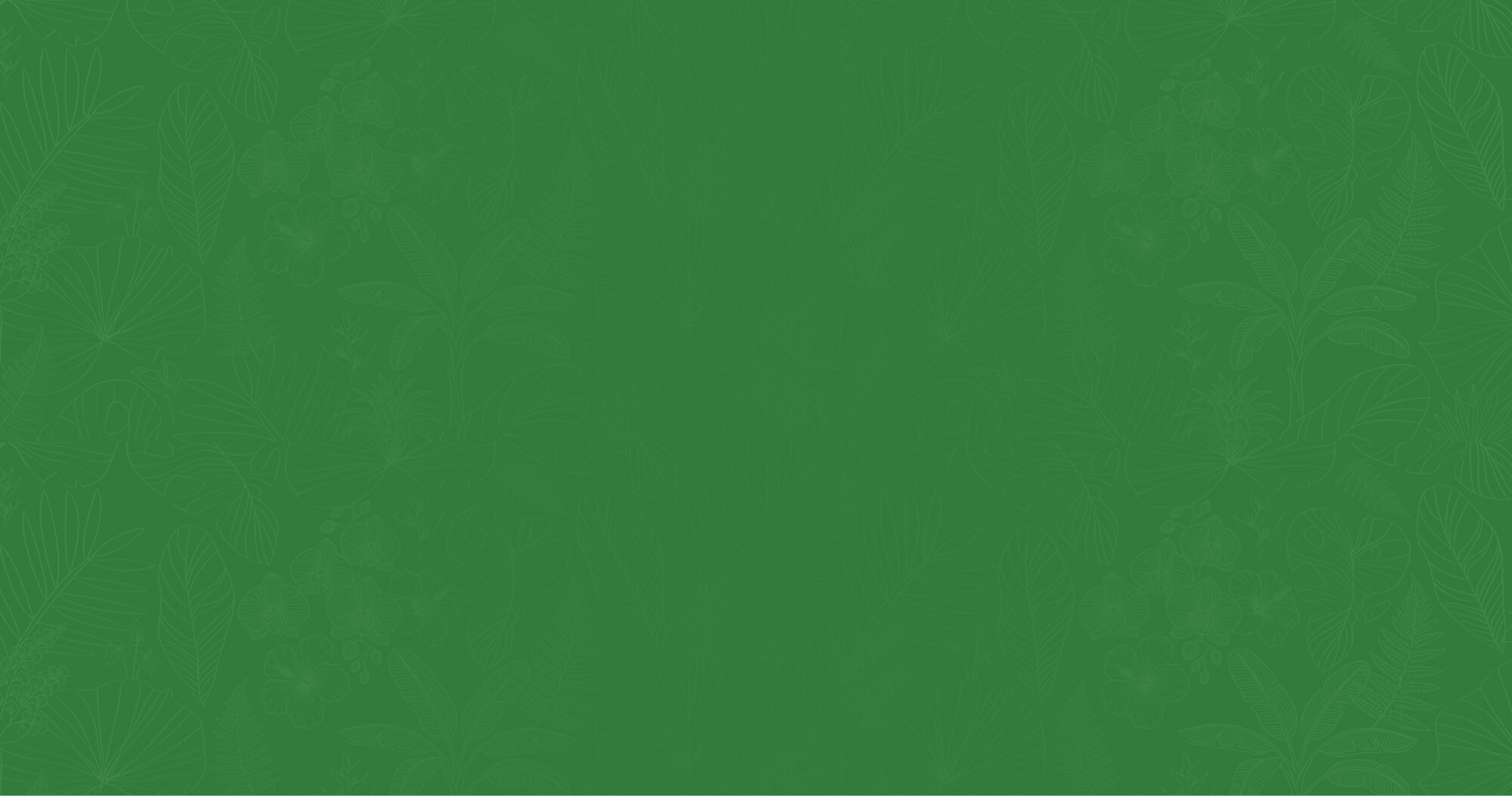 NaturoClean in Port St. Lucie, FL (2)