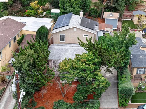 Anne Gross Ayankoya - Corcoran Icon Properties in Walnut Creek, CA (2)
