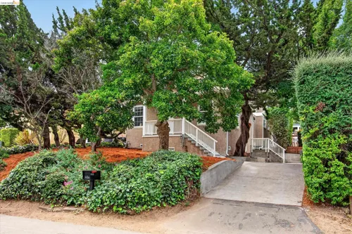 Anne Gross Ayankoya - Corcoran Icon Properties in Walnut Creek, CA (3)