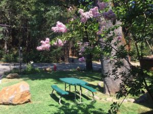 Dunsmuir Lodge in Dunsmuir, CA (3)