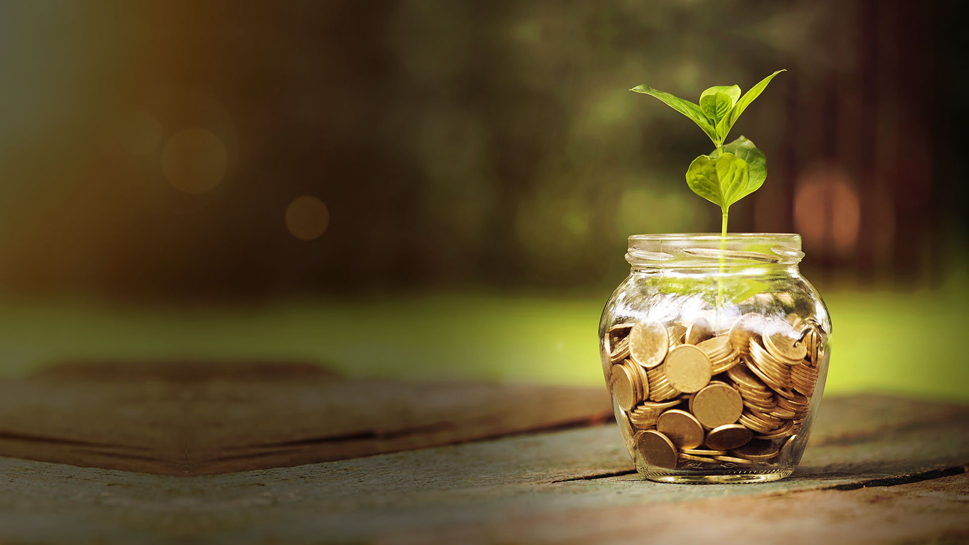 Bowman Bookkeeping in Hephzibah, GA (2)
