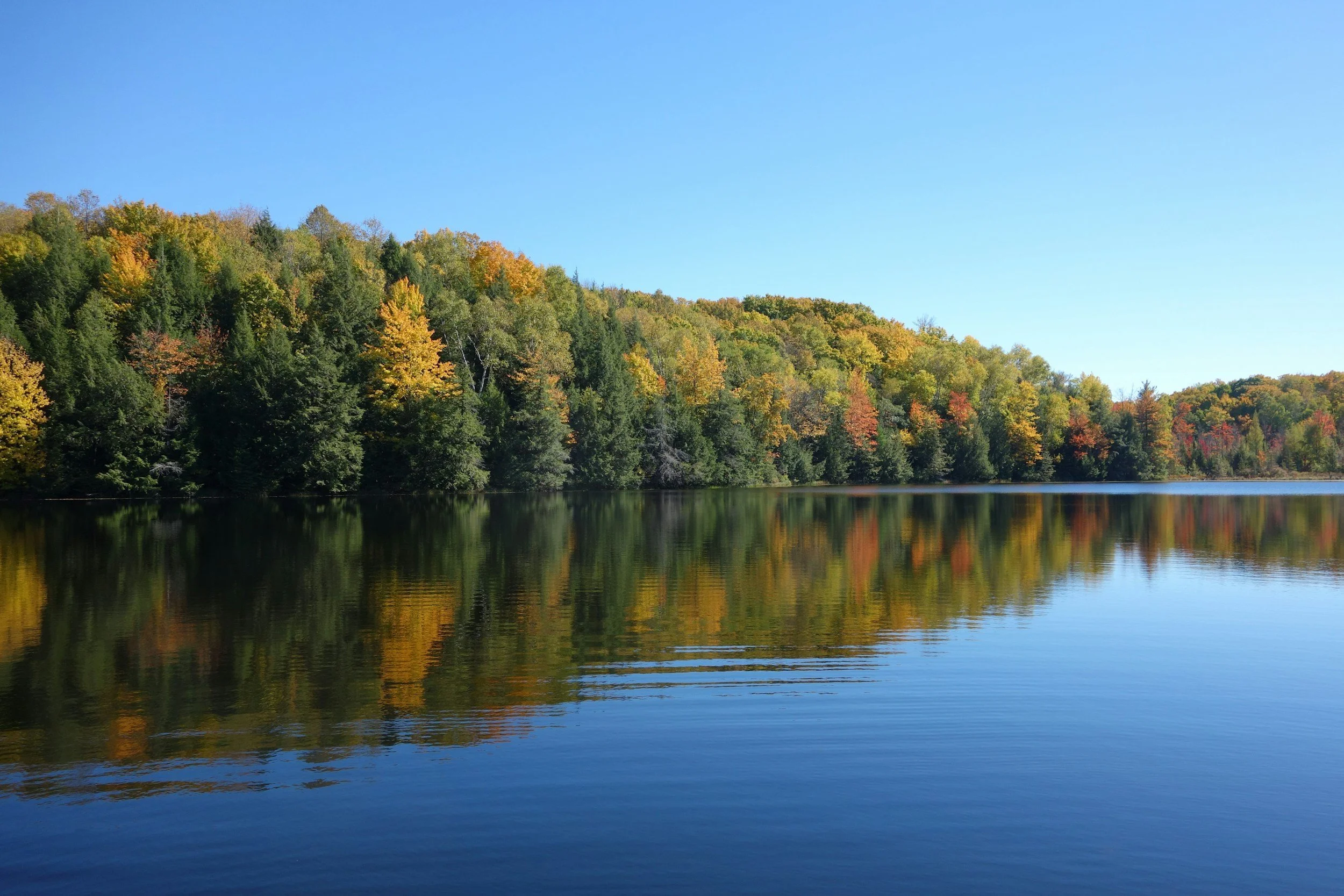 Lake Anna Chef in Mineral, VA