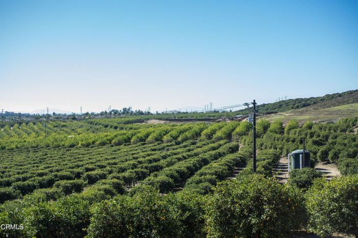 Farris and Lee Real Estate Group in Ventura, CA (4)