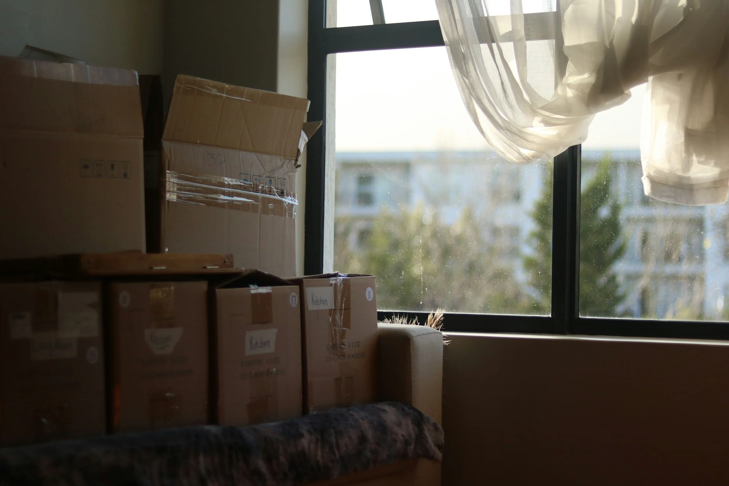 Carolina Kingdom Moving Services in Raleigh, NC (3)
