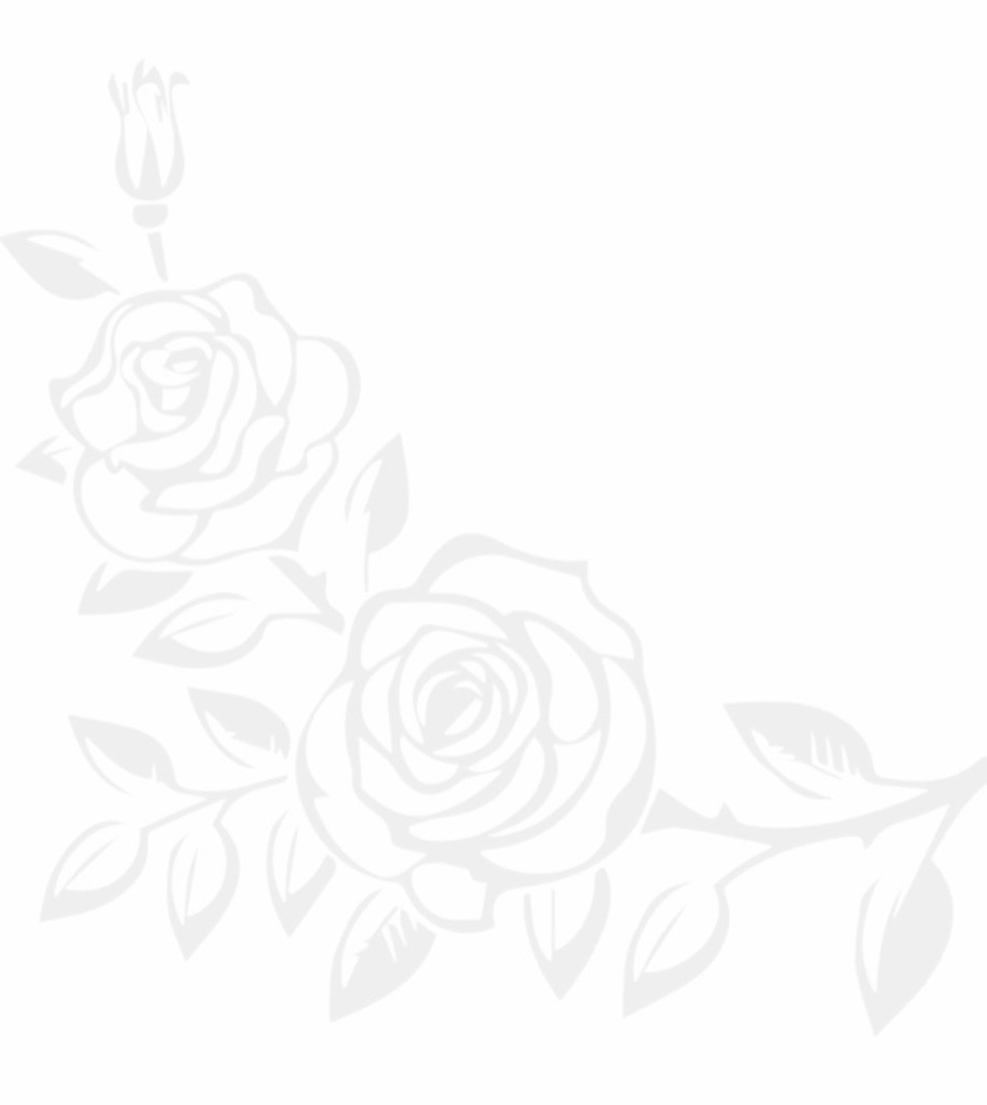 Moxie Beauty & Art Studio in Kittanning, PA
