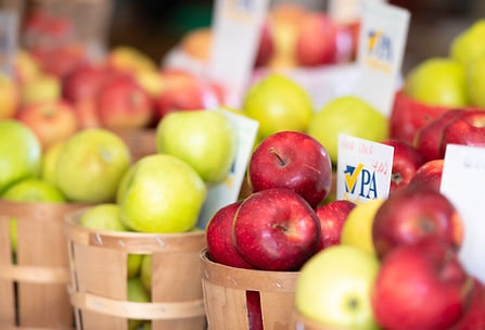 Lewisburg Farmers Market in Lewisburg, PA (6)