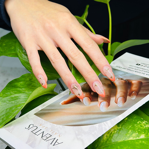 AVENTUS NAIL SPA in Lewis Center, OH