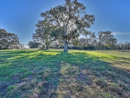 Tri-County Realty, LLC in Weimar, TX (2)