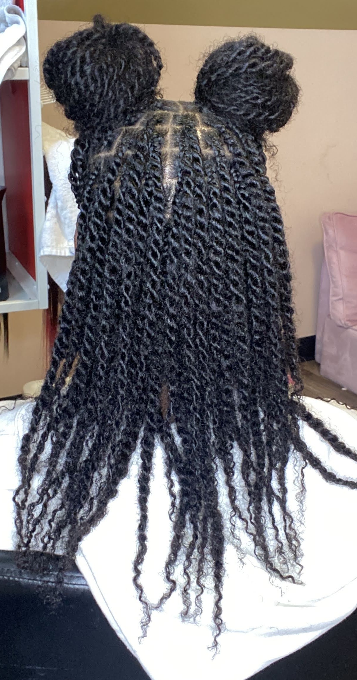Twisted Pretty Braids in Eastpointe, MI (2)