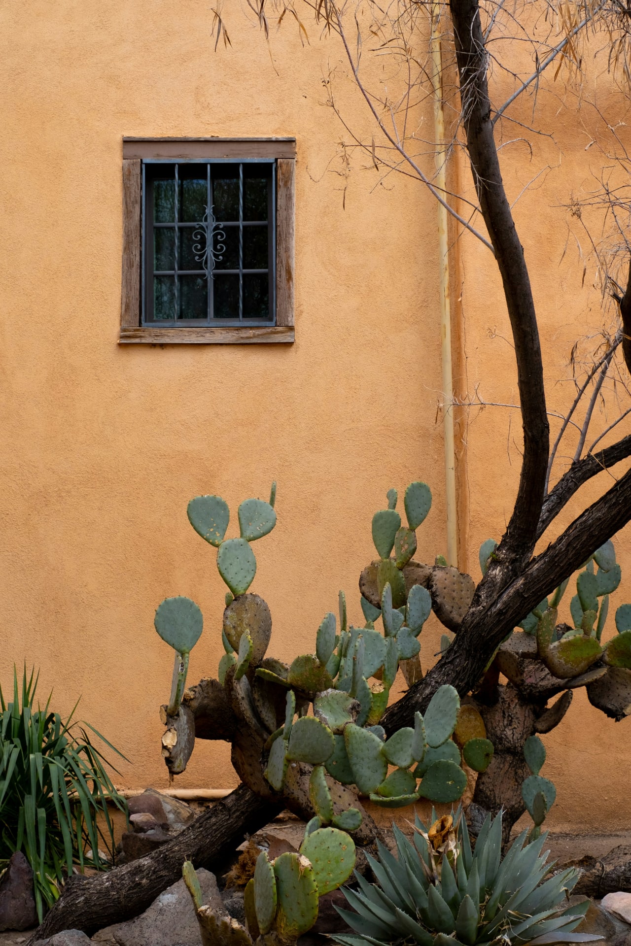 The Moss Team – Carlsbad Real Estate Agents | Coldwell Banker Realty in Carlsbad, CA (2)