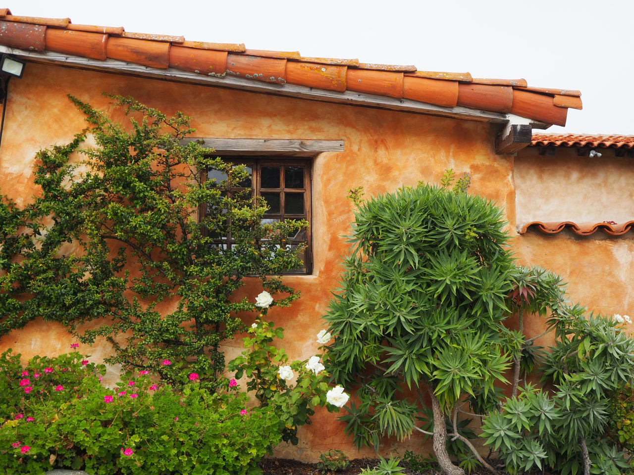 The Moss Team – Carlsbad Real Estate Agents | Coldwell Banker Realty in Carlsbad, CA (4)