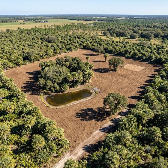 Alpha-Omega Mulching & Land Services LLC in Fort Meade, FL (2)