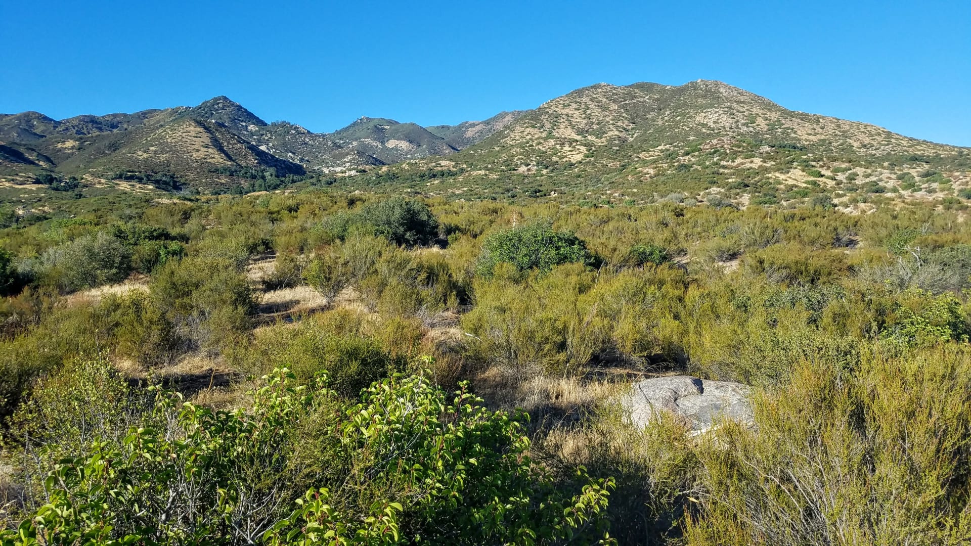 Tyler & Angela Do Real Estate - Tandado Real Estate Inc in Warner Springs, CA
