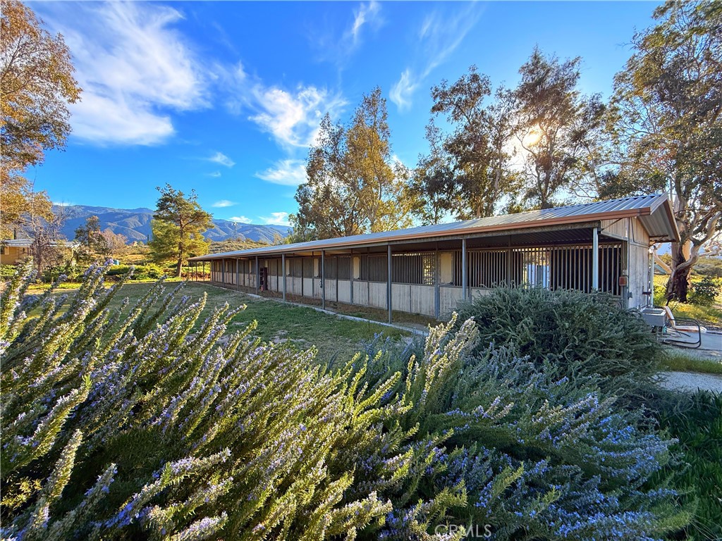Tyler & Angela Do Real Estate - Tandado Real Estate Inc in Warner Springs, CA (2)
