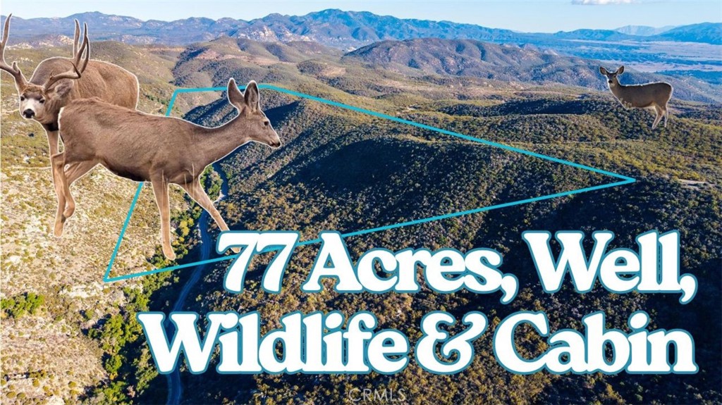Tyler & Angela Do Real Estate - Tandado Real Estate Inc in Warner Springs, CA (6)