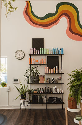 moss hair salon in Eau Claire, WI (5)