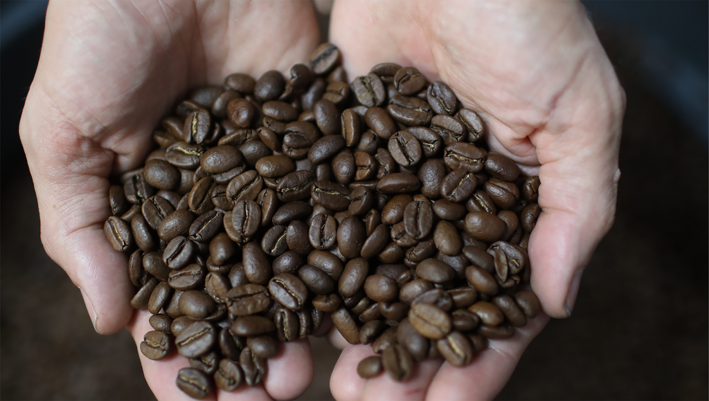 Catfight Coffee in Boonton, NJ (3)