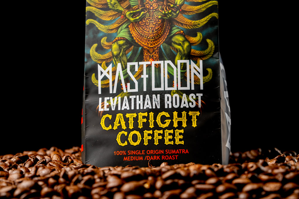 Catfight Coffee in Boonton, NJ (5)