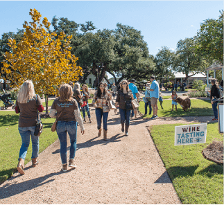 Henkel Square Market in Round Top, TX (5)