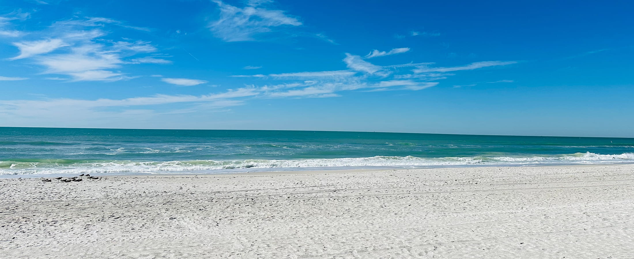 Blackburn Coastal Realty in Redington Shores, FL (4)