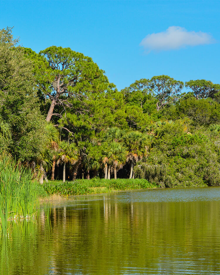 Blackburn Coastal Realty in Redington Shores, FL (5)