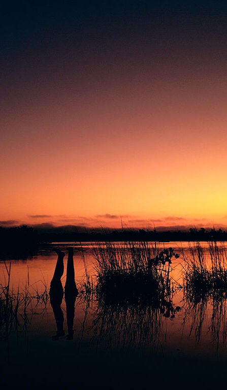 Low Key Hideaway in Cedar Key, FL (2)