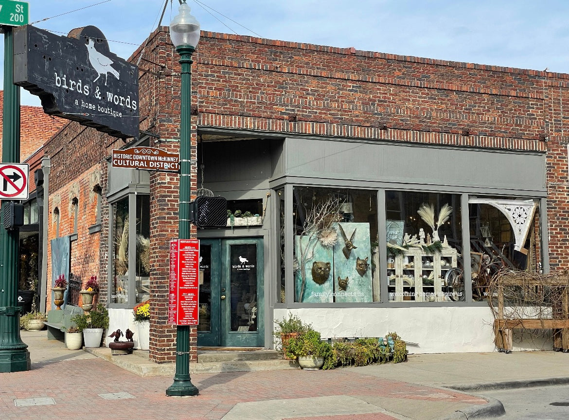 birds & words {a home boutique} in McKinney, TX (6)