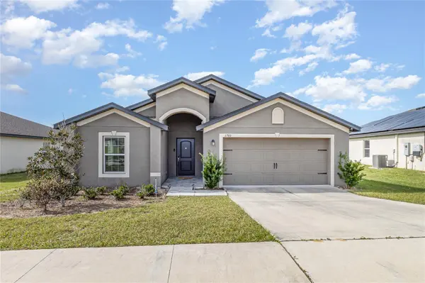 Neville Clarke Jr. - Tampa/FL REALTOR in Tampa, FL (4)